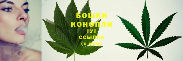 mdpv Костерёво