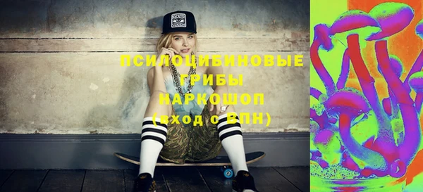 apvp Корсаков