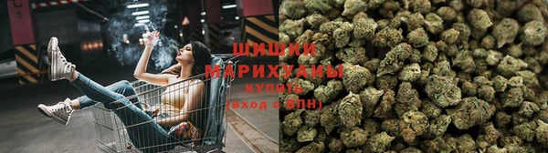 apvp Корсаков