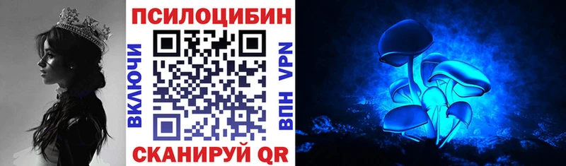 Псилоцибиновые грибы GOLDEN TEACHER  hydra   Мурманск  где можно купить  