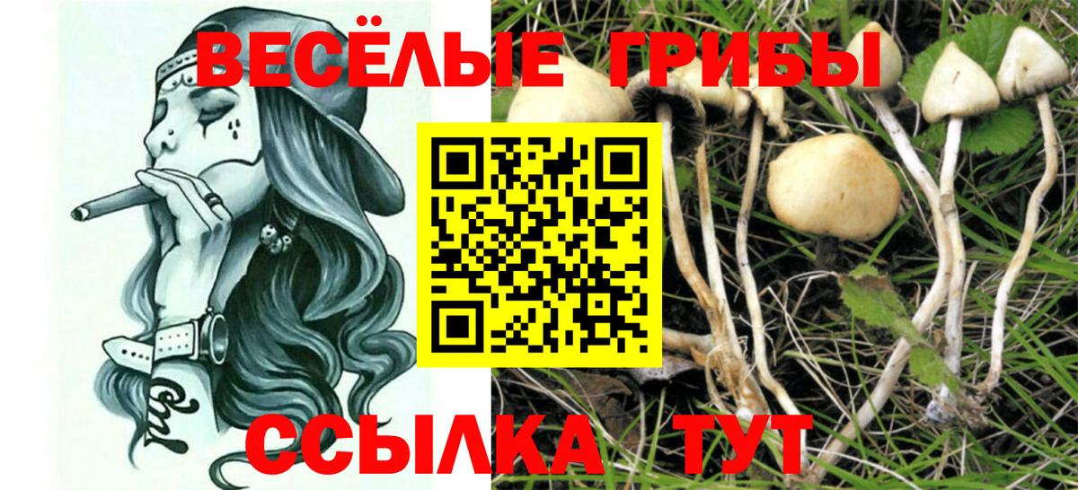 Псилоцибиновые грибы мицелий  Вход с VPN  Мурманск 